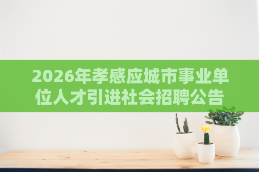 2026年孝感应城市事业单位人才引进社会招聘公告 2026年孝感应城市事业单位人才引进社会招聘公告