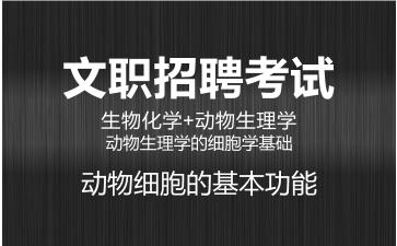 动物细胞的基本功能.jpg